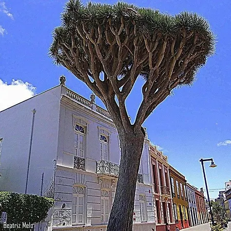 Esperanto Apartment La Laguna (Tenerife)