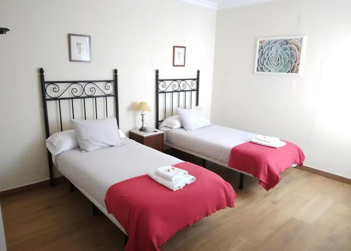 Esperanto Daire La Laguna (Tenerife)