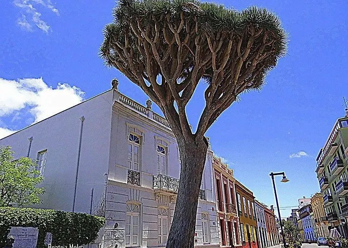 Esperanto Daire La Laguna (Tenerife)